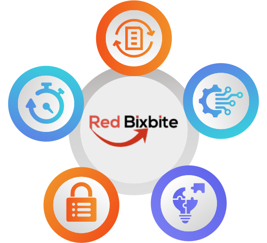 Why RedBixbite For Data Processing Services